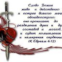 ���� �������, ������������, 66 ��� - ��������� 12 ������� 2014 � ������ ���� ����������