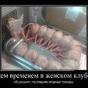 ���� Dimon, �������, 38 ��� - ��������� 19 ������� 2014 � ������ ������ ��������