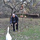 ���� ���������, ������ ��� - ��������� 29 ��� 2014