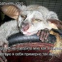 ���� �.�., �����������, 61 ��� - ��������� 29 ����� 2014 � ������ ���� ���������߻