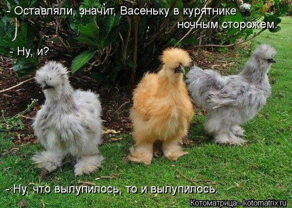    -   !))))