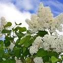 ���� ����������, ������� ��������, 63 ���� - ��������� 7 ���� 2014 � ������ ����� ����