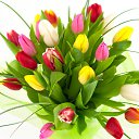 ���� ������4��, ������� - ��������� 12 ���� 2014 � ������ ���� ����������