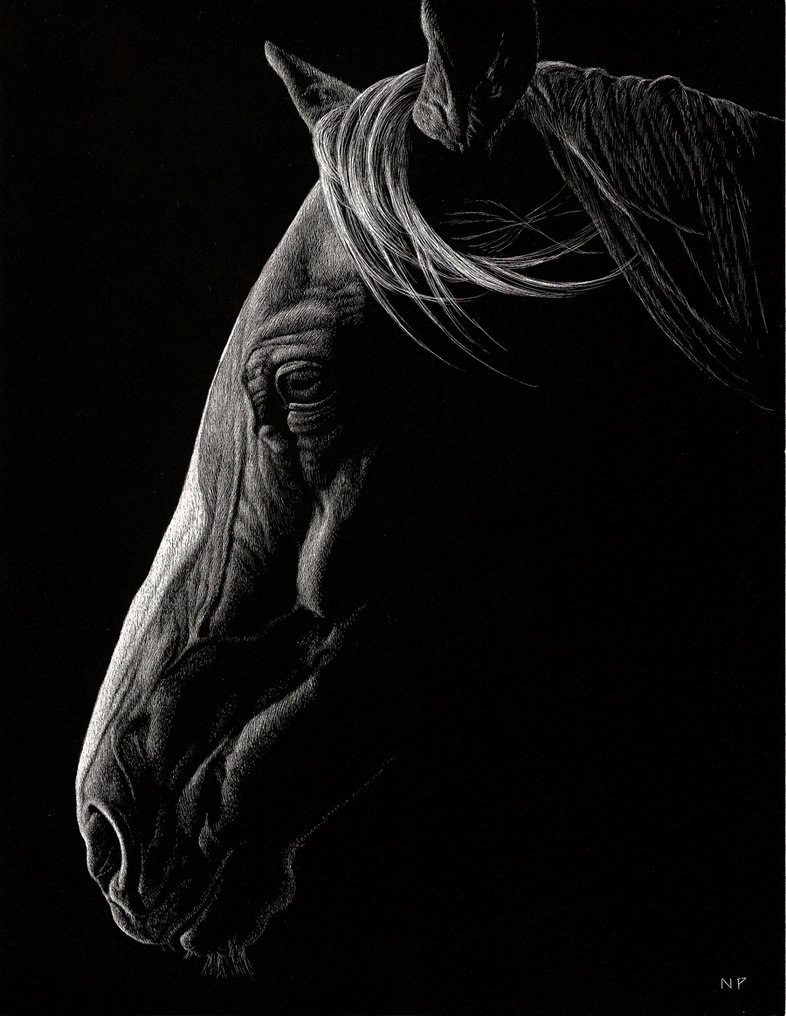 Art & Fun - 14  2014  21:30 - 2