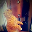 ���� ������, ������������, 59 ��� - ��������� 13 ���� 2014 � ������ ������ ��������