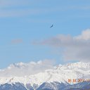 ���� �����, ������, 34 ���� - ��������� 14 ���� 2014