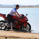 ���� �������, ������, 49 ��� - ��������� 14 ��� 2014 � ������ ���� ����������