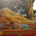 ���� �����, ������, 39 ��� - ��������� 25 ��� 2014