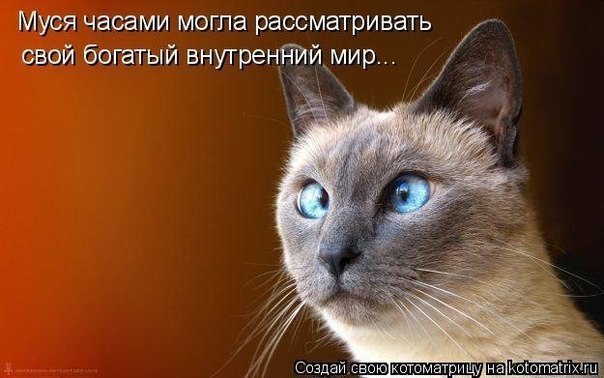   - 7  2014  09:36