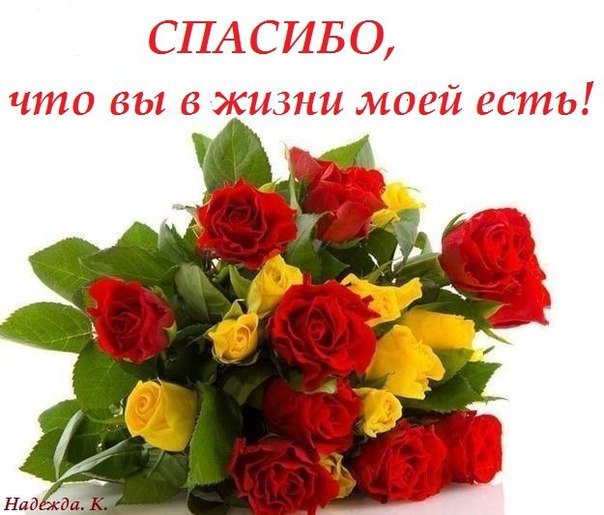  ,  ,  ,   ,  ,   -""- ...