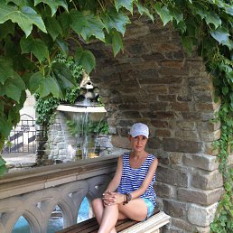 ���� ���, �������-����������, 44 ���� - ��������� 18 ������� 2014