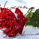 ���� ����, ����� - ��������� 22 ����� 2014 � ������ ���� ����������