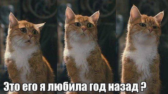 ������ (���� �����) - 5 ������ 2014 � 23:58