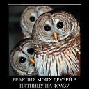 ���� �������, �������, 47 ��� - ��������� 22 ��� 2014 � ������ ���� ����������