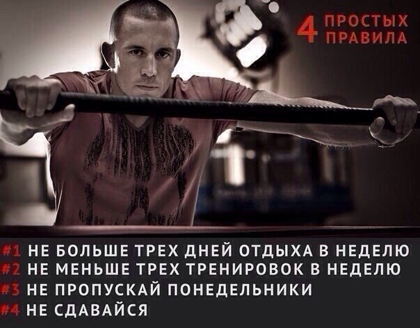 SportFeed - 15  2014  01:22