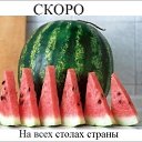 ���� �������, ����, 105 ��� - ��������� 17 ������� 2014 � ������ ������ ��������
