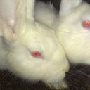 ���� �������, ������, 43 ���� - ��������� 26 ���� 2014 � ������ ���� ����������