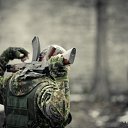 ���� Reload, ������, 37 ��� - ��������� 9 ���� 2014 � ������ ������ ��������