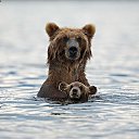  Sergei, , 74  -  21  2014     Discovery