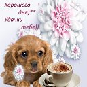 ���� ���, ������, 51 ��� - ��������� 5 ���� 2014 � ������ �Foto Sympathy�