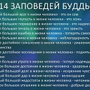 ���� ���������, ������, 61 ��� - ��������� 17 ��� 2014 � ������ ������ ��������
