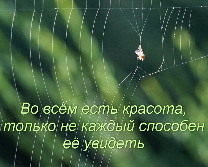 ...[a]_voe_so Le... - 17  2014  10:55