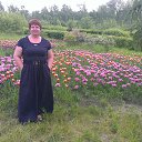 ����� ��������� � ������� �� ������� �����������