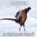 ���� ������, ���������, 42 ���� - ��������� 11 ������ 2014 � ������ �����������