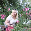 ���������,������.����,2014 �. �� ������� �������,������ ����,���� 2015 �.�