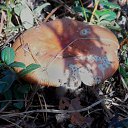 ���� �����, �����, 64 ���� - ��������� 6 ��� 2014 � ������ ������������ ������