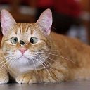 ���� ������, ���� - ��������� 20 ��� 2014 � ������ ������ ��������