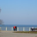  , -, 59  -  31  2014   ............