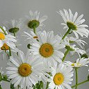 � ����� �������� ���� vk.com/fotiko �� ������� ��������� ���� � fotiko.ru�