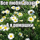 ���� �������, ������, 34 ���� - ��������� 27 ����� 2014 � ������ ������ ��������