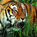 ���� �����, ����������� - ��������� 19 ������ 2014 � ������ ���� ����������