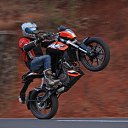 ���� �����, �����������, 40 ��� - ��������� 29 ��� 2014