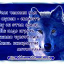���� �������, �������, 47 ��� - ��������� 3 ���� 2014 � ������ ���� ����������