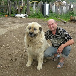 ���� ��������, ���, 61 ��� - ��������� 19 ���� 2014