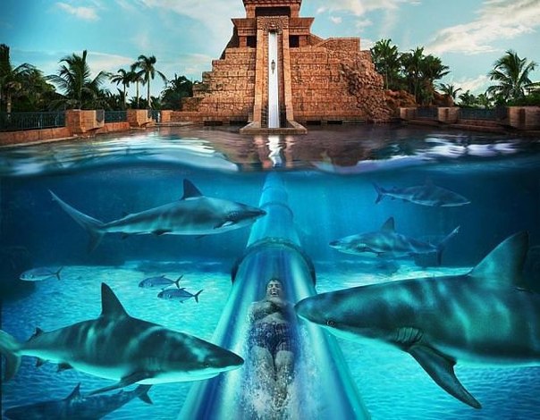 "Siam Park"....   .  .   ,    ...