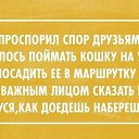 ���� ������, ���������, 46 ��� - ��������� 13 ���� 2014 � ������ ������ ��������