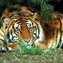 ���� �������, ������, 73 ���� - ��������� 15 ���� 2014 � ������ ���� ����������