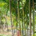 ������� 2014 �� ������� ���� ����������