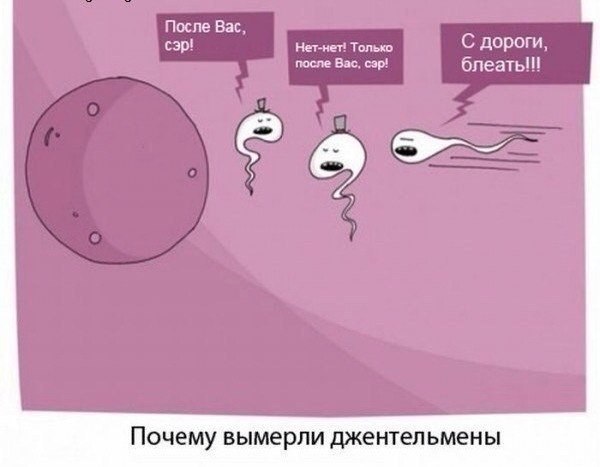  (18+) - 16  2014  13:59