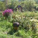 ���� ������, ��������, 61 ��� - ��������� 13 ������� 2014 � ������ �������