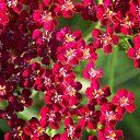 ���� �����, �����, 64 ���� - ��������� 8 ������� 2014 � ������ �� ��� - ��������!!!)))�