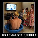 ���� �����, �������, 43 ���� - ��������� 12 ���� 2014 � ������ ������ ��������