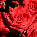 ���� ���, �����, 26 ��� - ��������� 18 ���� 2014 � ������ ���� ����������