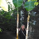 ���� �����, ����, 47 ��� - ��������� 3 ���� 2014 � ������ ���� ����������