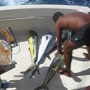 ���� ����, �������� - ��������� 14 ���� 2014 � ������ ����������