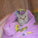 ���� ����, ������ - ��������� 22 ���� 2014 � ������ ������ ��������